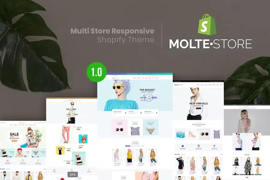 moltestore---multi-store-responsive-shopify-theme